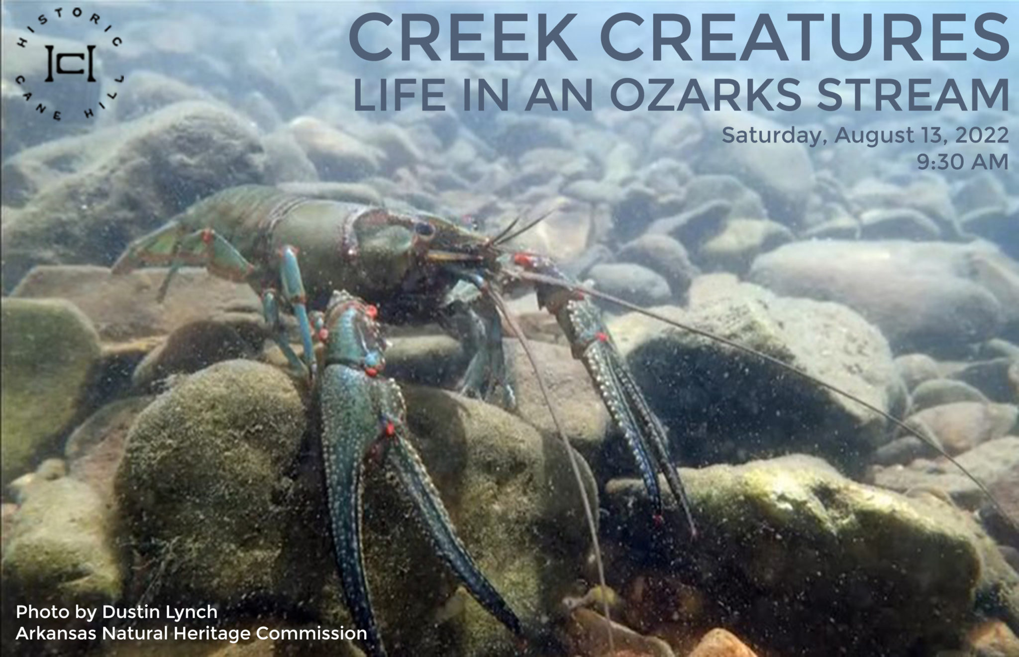 Home Historic Cane Hill Arkansas